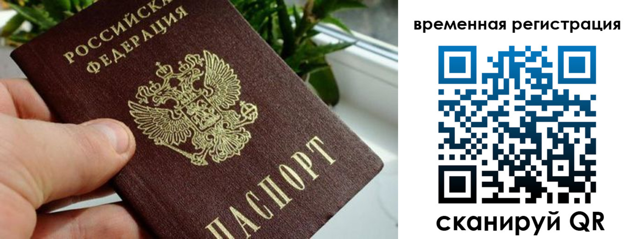 прописка поиск в Челябинске